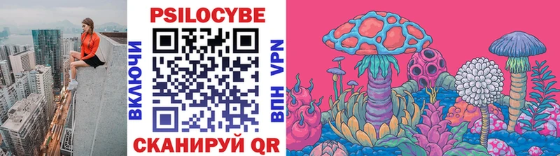 Псилоцибиновые грибы Psilocybe  Купить  Нерюнгри 